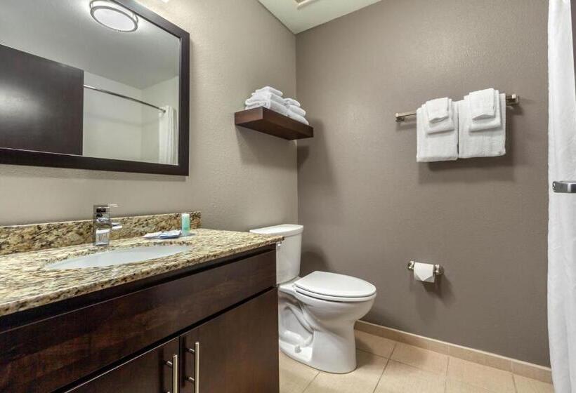 带大床的套房, Mainstay Suites Lincoln University Area