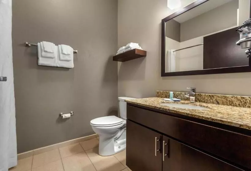 Sviitti King-vuode, Mainstay Suites Lincoln University Area