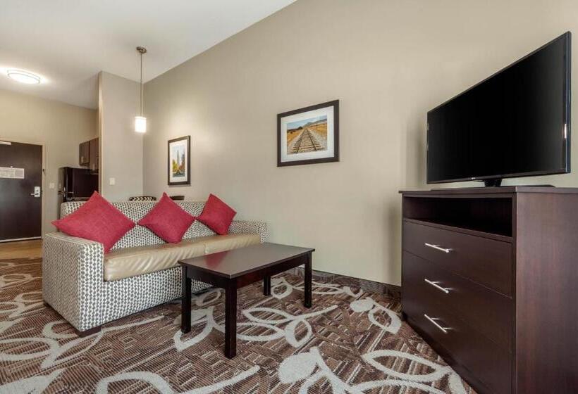 带大床的套房, Mainstay Suites Lincoln University Area