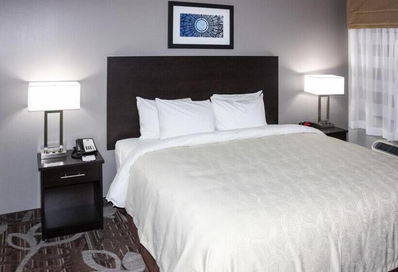 带大床的套房, Mainstay Suites Lincoln University Area