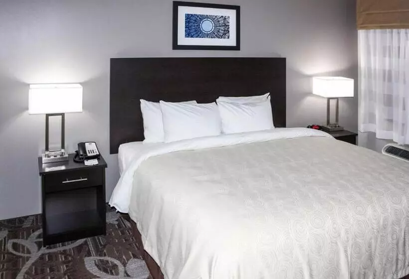 Sviitti King-vuode, Mainstay Suites Lincoln University Area