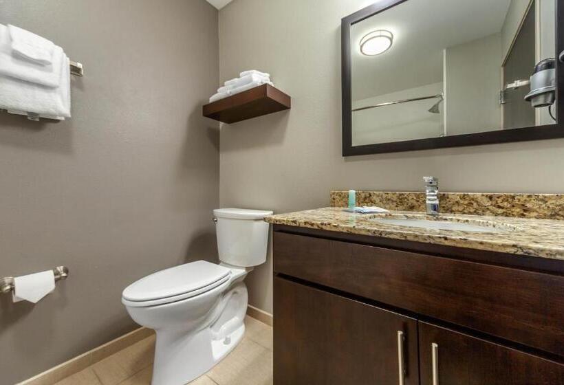 带大床的套房, Mainstay Suites Lincoln University Area