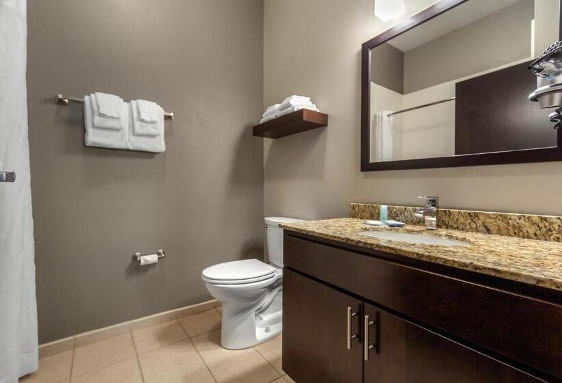 套房, Mainstay Suites Lincoln University Area