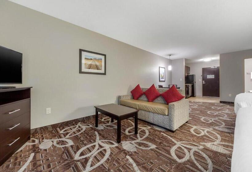 Люкс, Mainstay Suites Lincoln University Area