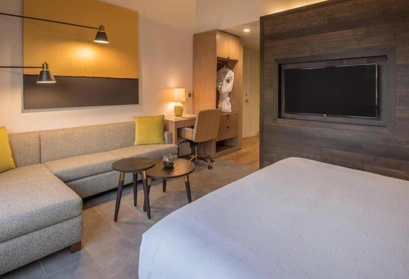 Номер Премиум, The Hi Lo, Autograph Collection