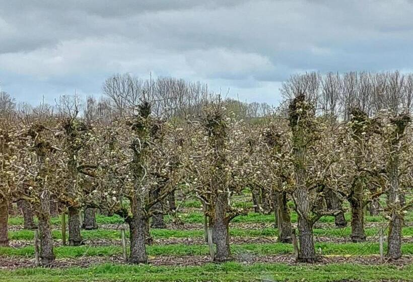 בונגלו משפחתי, Chalet Conference 6 Pers