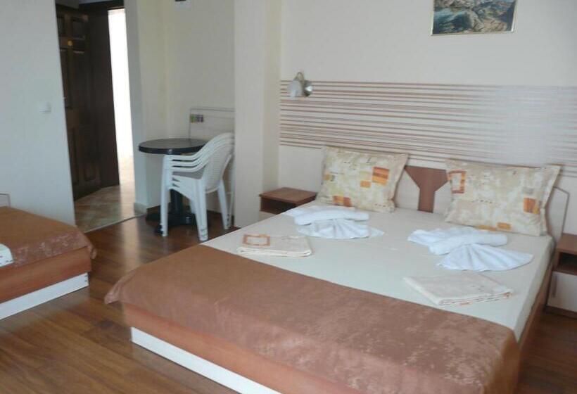 Standard Værelse, семеен хотел детелини