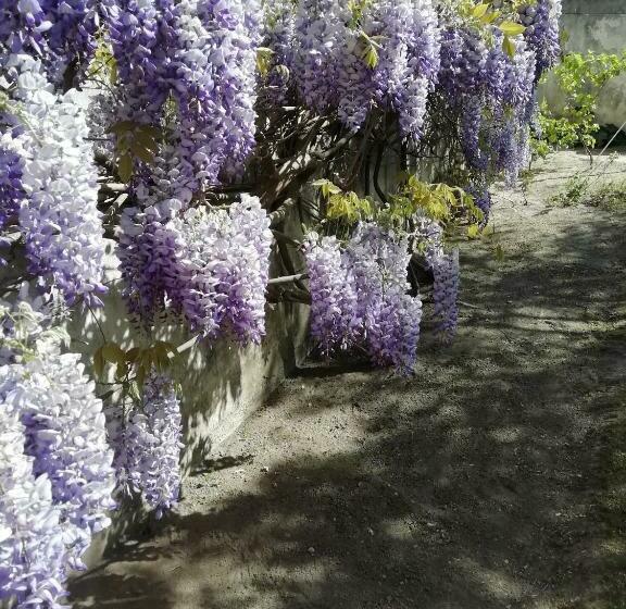 스탠다드 룸 가든 전망, Chez Fleur