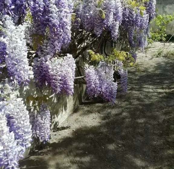 Bahçe Manzaralı Standart Oda, Chez Fleur