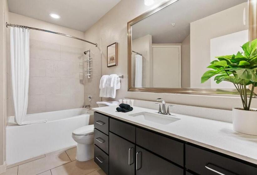 Апартаменты Deluxe 1 Спальня, Lodgeur At Elan Med Center