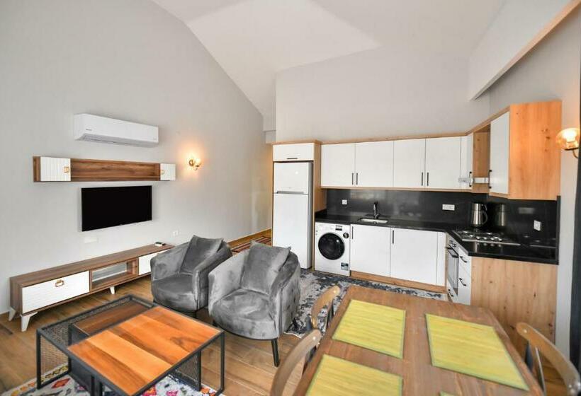 Apartament Deluxe 1 Dormitori, Red Moon Suites