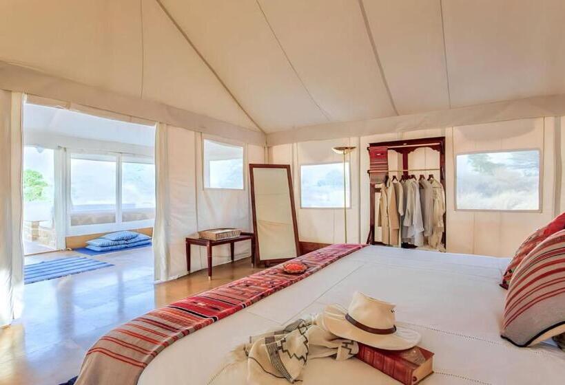 Standard Tent, Sam Desert Dunes Camp