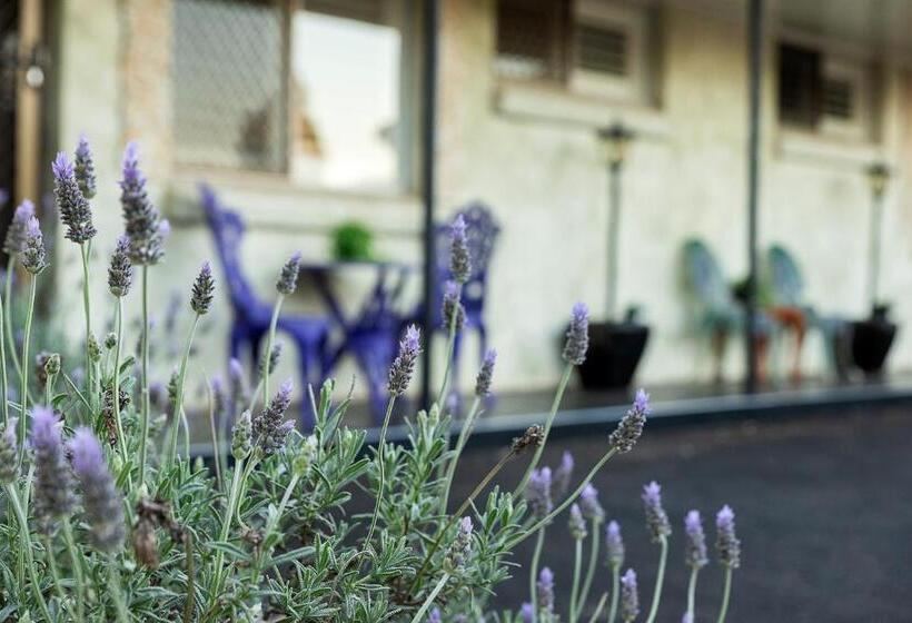 דירת חדר, Toowoomba Hospital Apartments