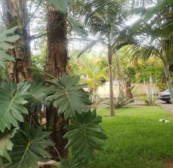 חדר סטנדרט, Saza Adventures