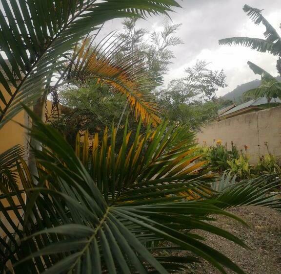 חדר סטנדרט, Saza Adventures