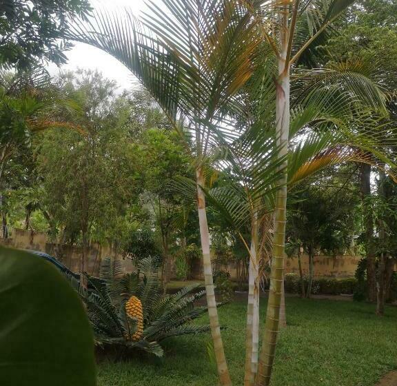 חדר סטנדרט, Saza Adventures