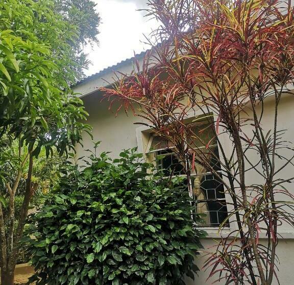 חדר סטנדרט, Saza Adventures