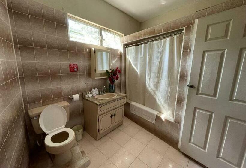 חדר דלוקס, Arnold S Guest House