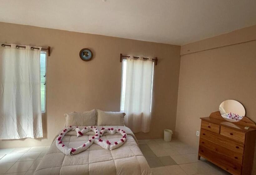 חדר דלוקס, Arnold S Guest House