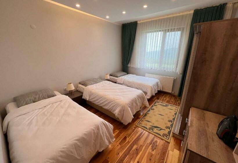 شقة غرفة واحدة مطلة على الحديقة, Shen Home Life