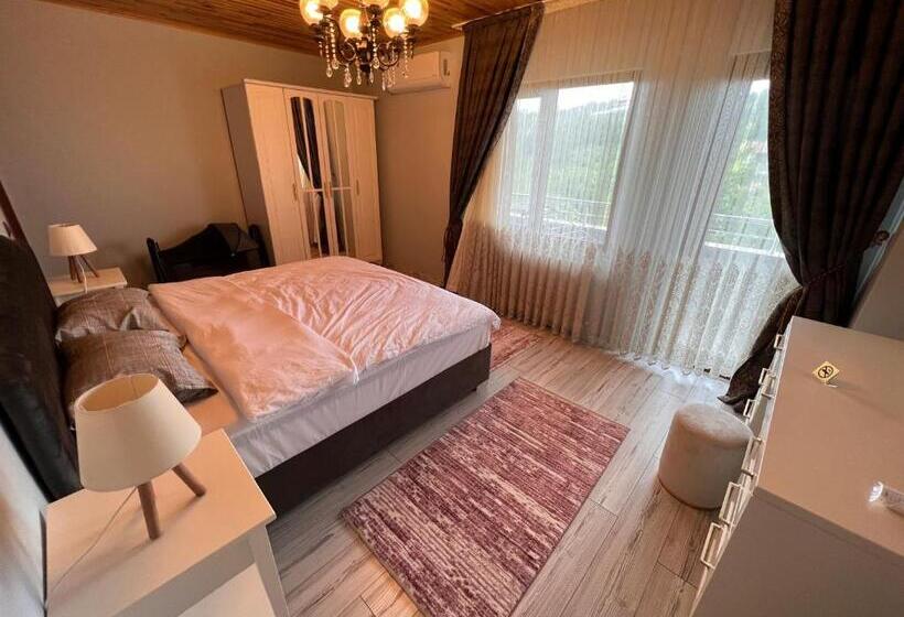 فيلا ديلوكس غرفة نوم, Shen Home Life