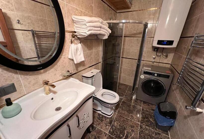 شقة ديلوكس غرفة نوم واحدة, Shen Home Life