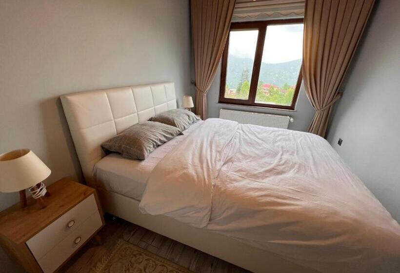 فيلا ديلوكس غرفة نوم, Shen Home Life