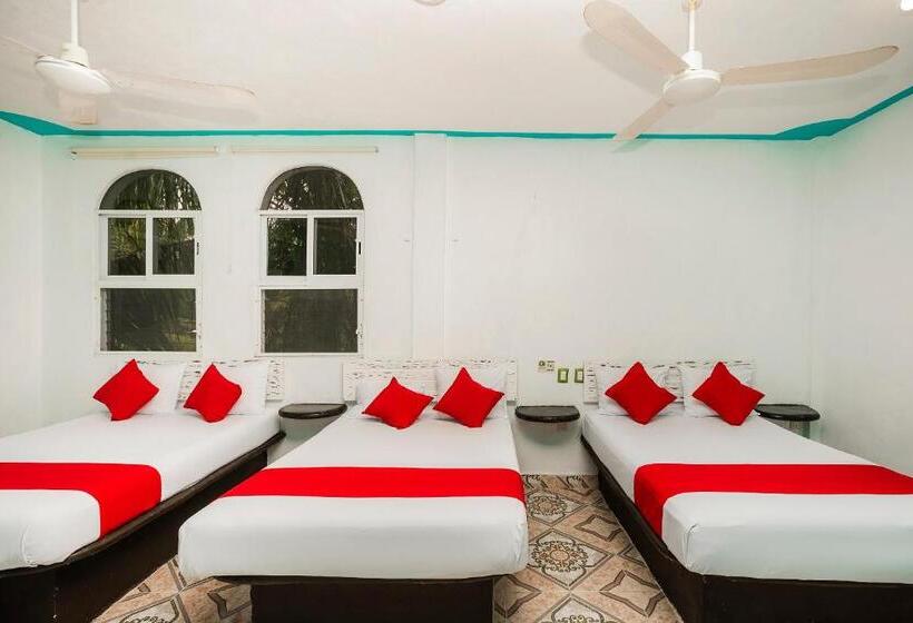 غرفة عائلية, América