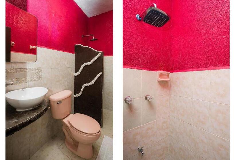 غرفة سوبيريور, América