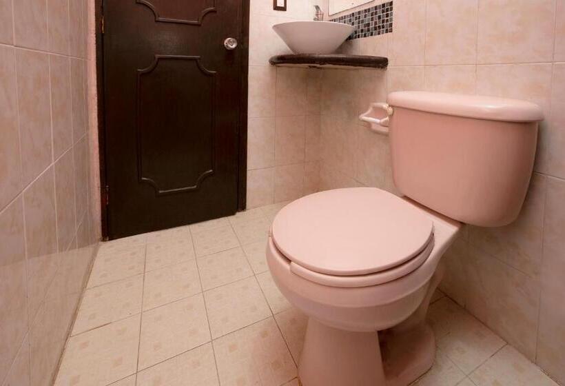 غرفة قياسية, América