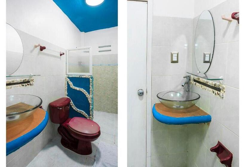 غرفة قياسية, América