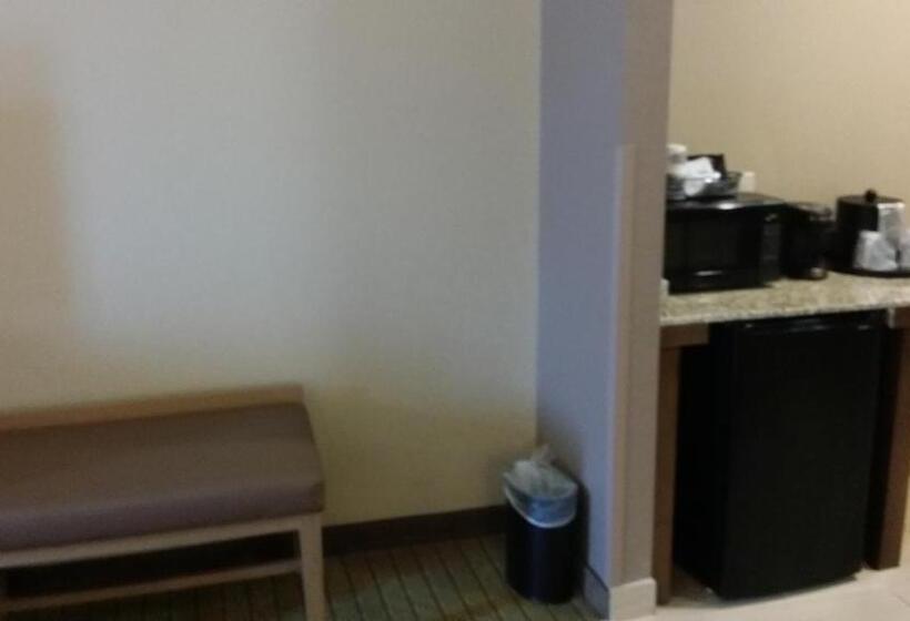 غرفة قياسية سرير كينج, Best Western Plus Flatonia Inn