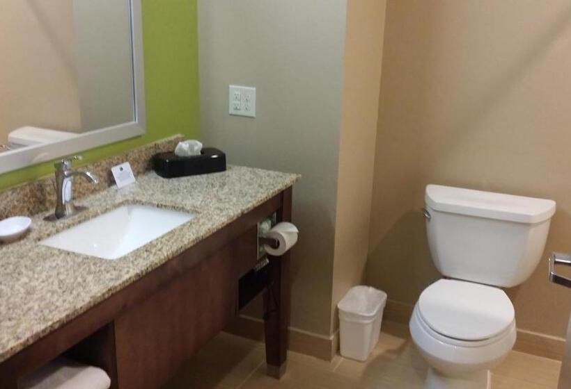 适合残疾人士使用的带超级大床的标准间, Best Western Plus Flatonia Inn