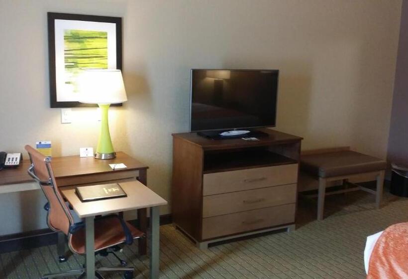 适合残疾人士使用的带超级大床的标准间, Best Western Plus Flatonia Inn