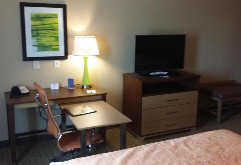 غرفة قياسية سرير كينج لذوى الإحتياجات الخاصة, Best Western Plus Flatonia Inn