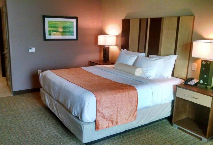 适合残疾人士使用的带超级大床的标准间, Best Western Plus Flatonia Inn