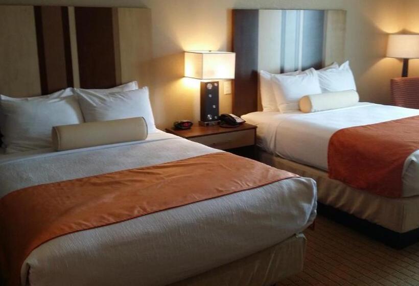 غرفة قياسية لذوى الاحتياجات الخاصة, Best Western Plus Flatonia Inn