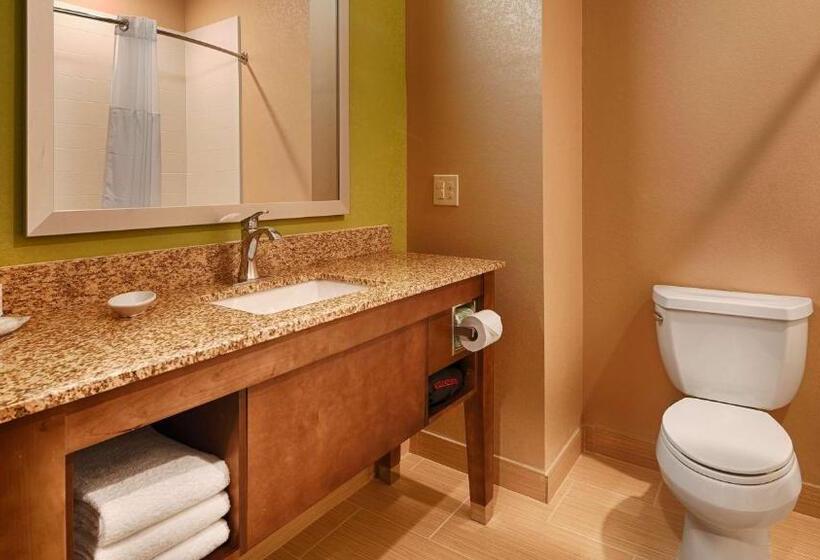 适合残疾人使用的标准间, Best Western Plus Flatonia Inn