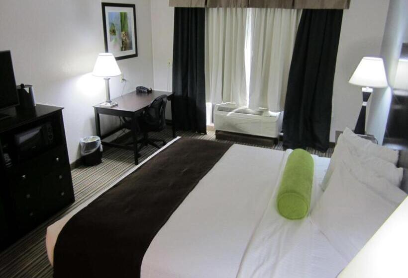 身障者適用キングサイズベッドルーム, Best Western Plus Sunrise Inn