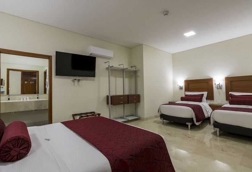 标准三人间, Dorado La 70