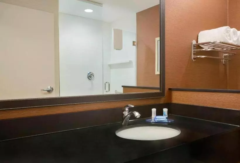 身障者適用キングサイズベッドルーム, Fairfield Inn & Suites By Marriott Pittsburgh Airport/robinson Township