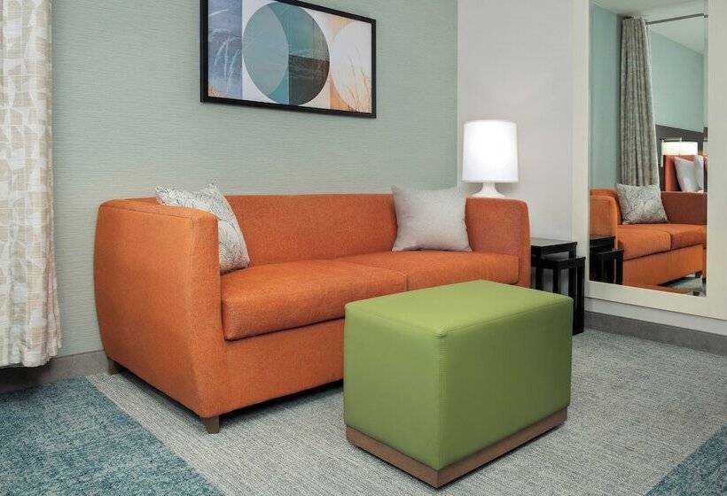 Люкс, Home2 Suites By Hilton Austin Round Rock