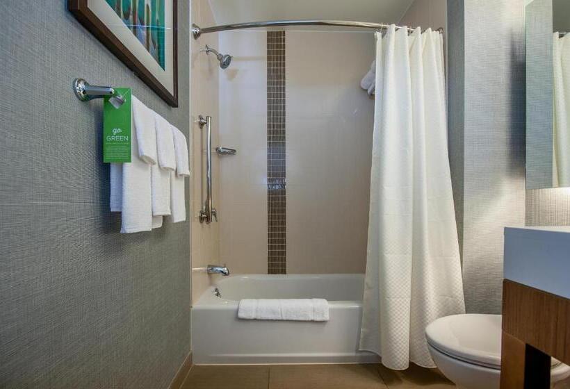 חדר סטנדרט מותאם לאדם עם מוגבלויות, Hyatt Place Bowling Green