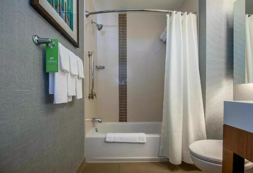 身障者適用スタンダードルーム, Hyatt Place Bowling Green