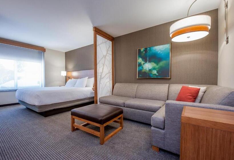 Номер Стандарт Адаптированный для Инвалидов, Hyatt Place Bowling Green