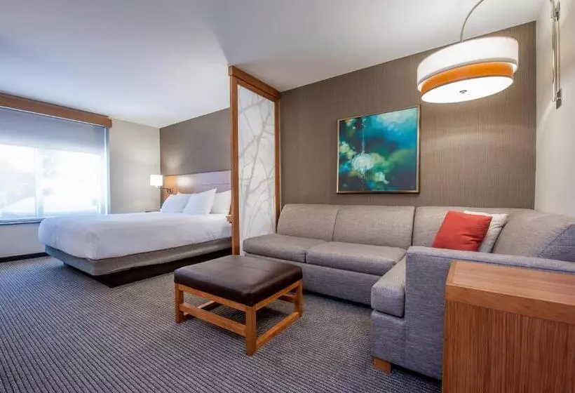 身障者適用スタンダードルーム, Hyatt Place Bowling Green