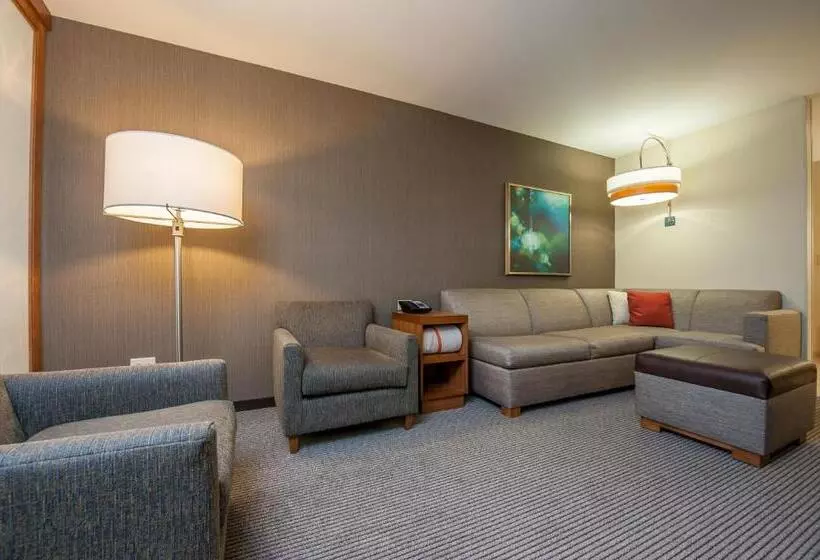 スイート, Hyatt Place Bowling Green