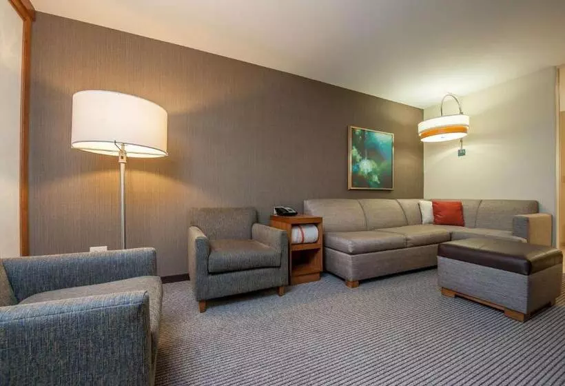 身障者適用スイートルーム, Hyatt Place Bowling Green