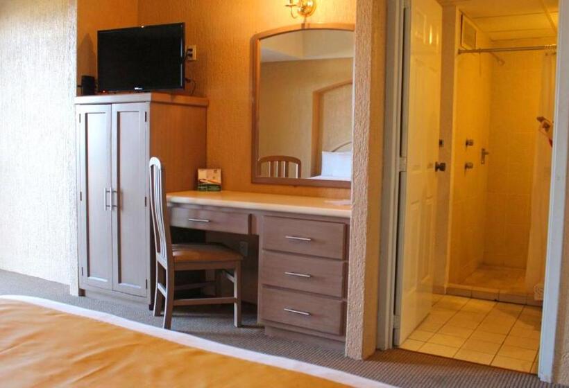 اتاق استاندارد با 2 تخت دوبل, Meson Del Valle