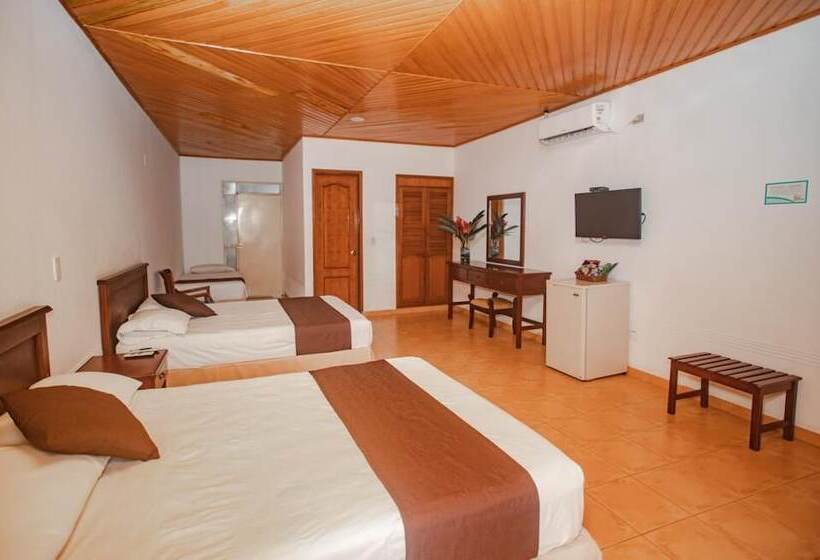 スタンダードルーム, Sunrise By Hype